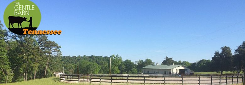 The Gentle Barn Tennessee | Sanctuary