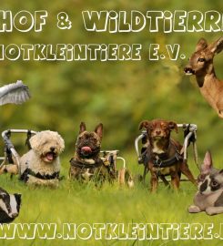 Gnadenhof Lehnitz  & Wildtierrettung Notkleintiere e.V. | Sanctuary