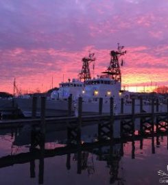 Sea Shepherd in New England