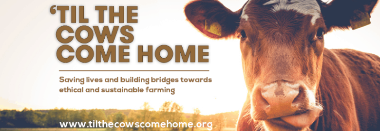 Til The Cows Come Home